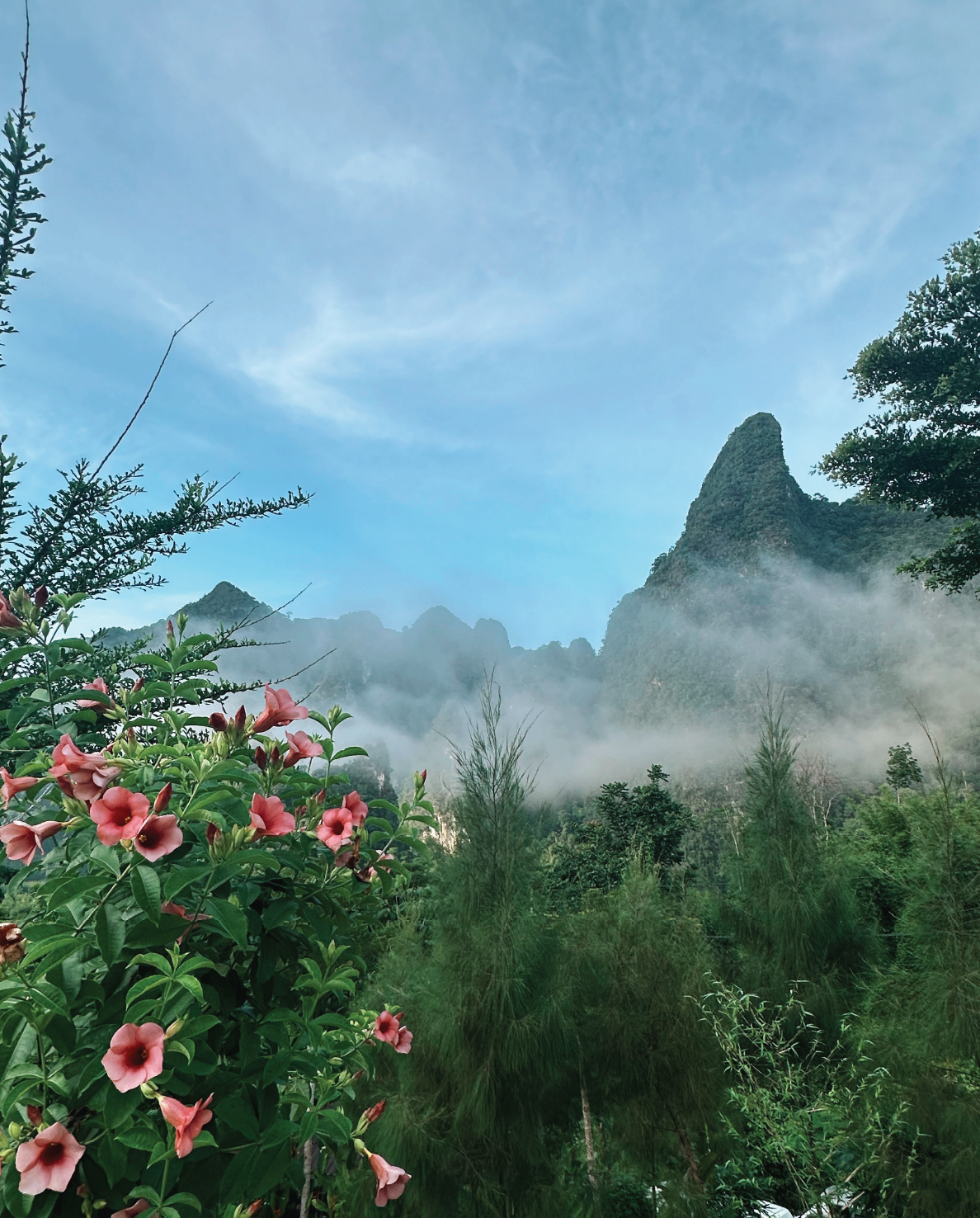 Headline goes here 2